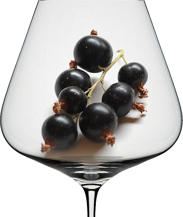 Вина с профилем чёрных фруктов2.png